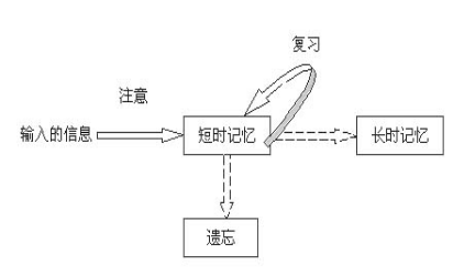 引领右脑